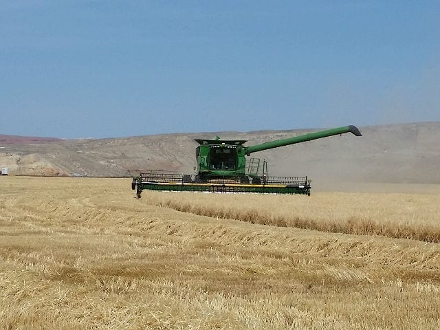 Still Barley Harvest