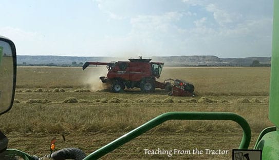 Alfalfa seed harvest 