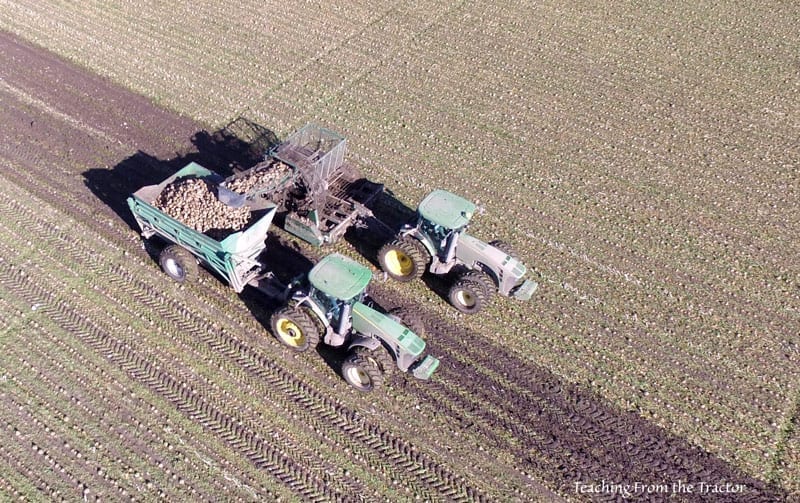 Sugar Beet Harvest Video