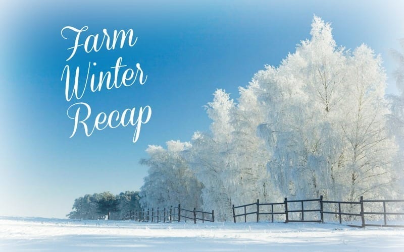 Farm Winter Recap