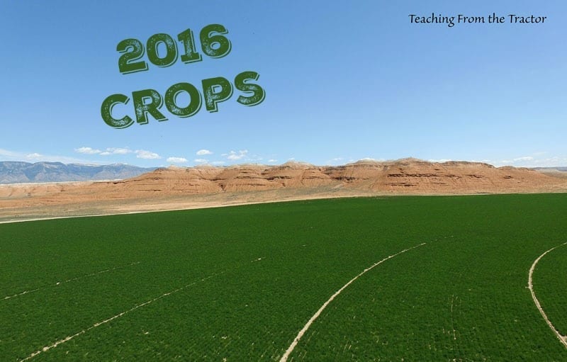 2016 Crops