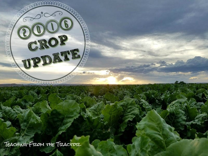 2016 Crop Update