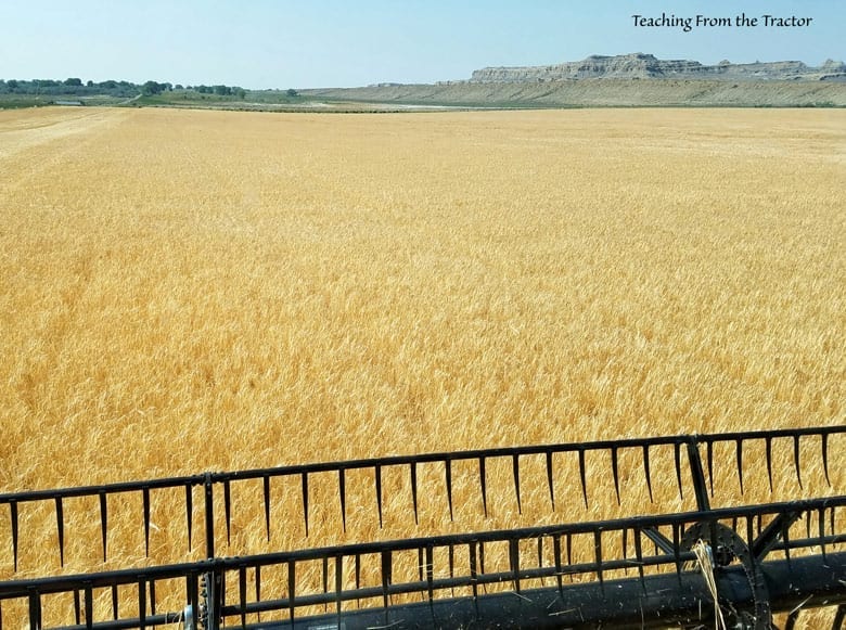 2016 Barley Harvest