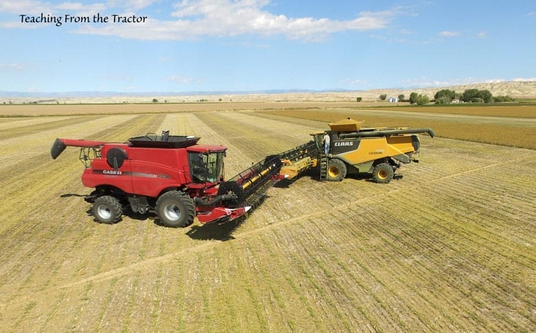 2016 Alfalfa Seed Harvest