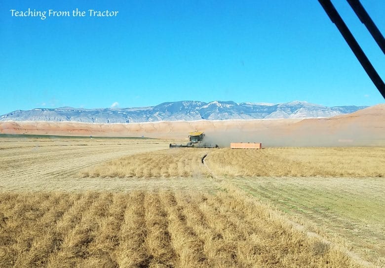 2016 Alfalfa Seed Harvest