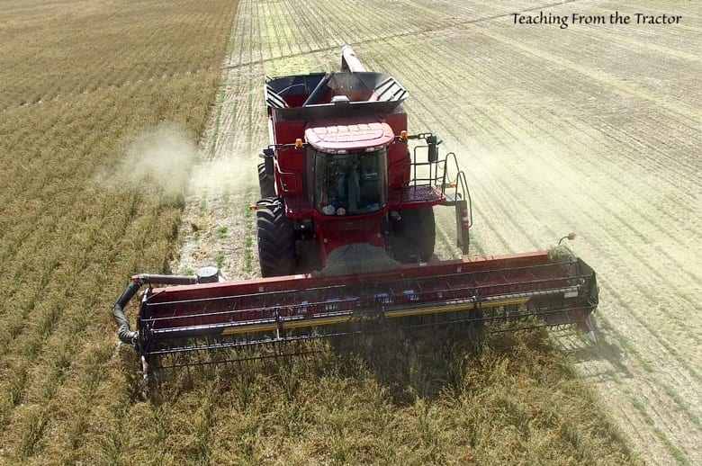 2016 Alfalfa Seed Harvest