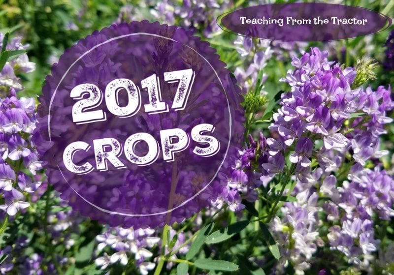 2017 Crops