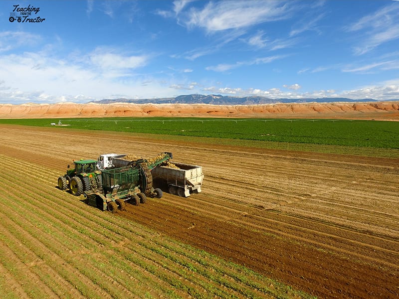 2019 crop years sugar beets